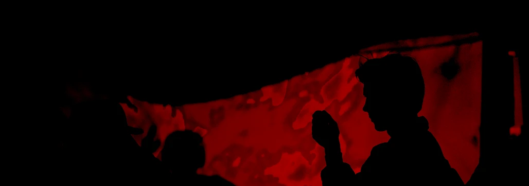 Servicios: Desarrollo Web